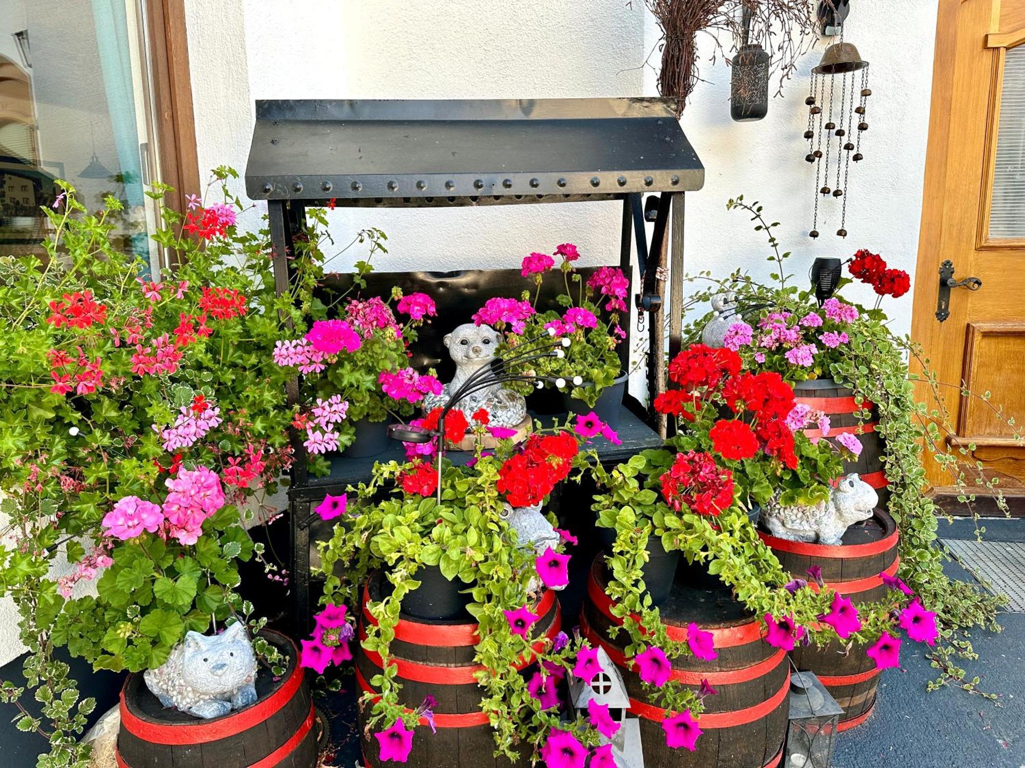 Hotel Marienhof Фліс Екстер'єр фото